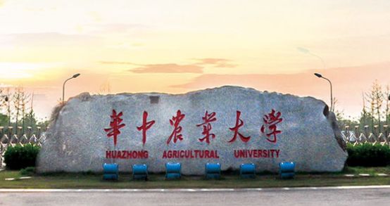 2021年华中农业大学成考录取分数线
