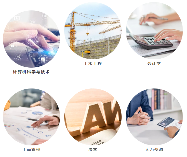 网络教育热门专业