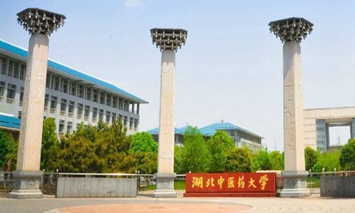 湖北中医药大学成教专业有哪些