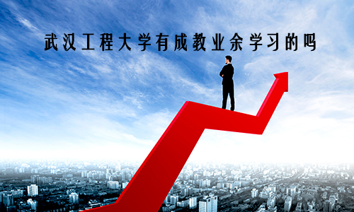 武汉工程大学有成教业余学习的吗