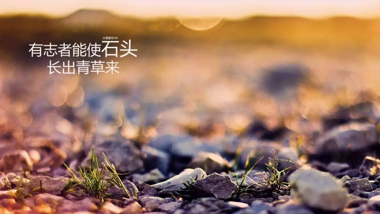 武汉理工大学成人本科报名费