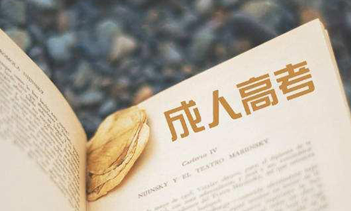 中南财经政法大学成考专升本专业有哪些