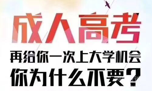 中南财经政法大学继续教育学院成人高考怎么报名