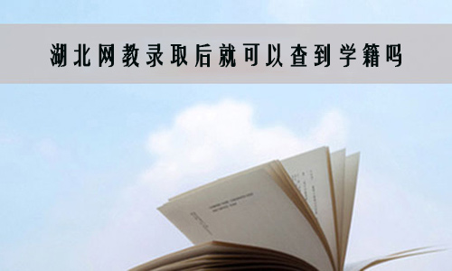 湖北网教录取后就可以查到学籍吗