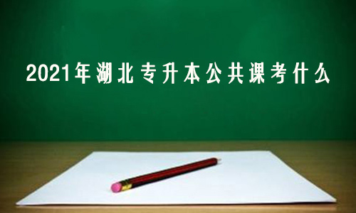 2021年湖北专升本公共课考什么