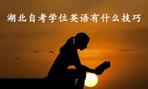 湖北自考学位英语有什么技巧