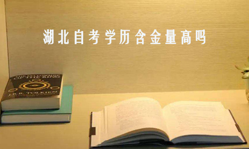 湖北自考学历含金量高吗