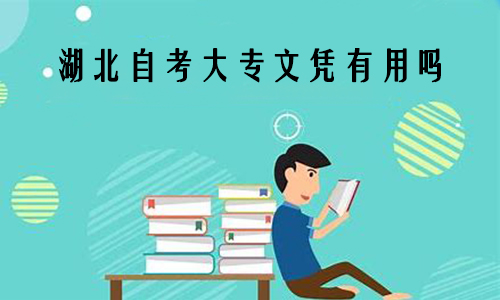湖北自考大专文凭有用吗