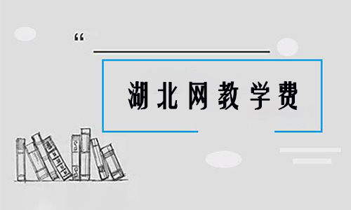 2022年湖北网教学费总共是多少