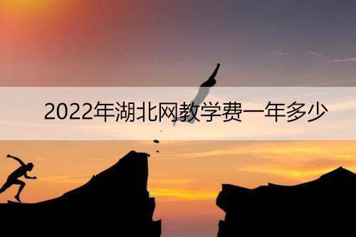 2022年湖北网教学费一年多少