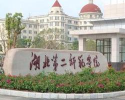 湖北第二师范成教教育学专业怎么样