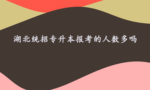 湖北统招专升本报考的人数多吗