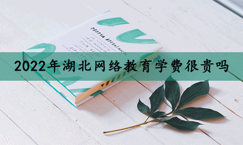 2022年湖北网络教育学费很贵吗