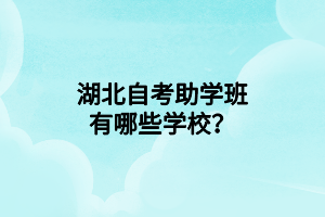湖北自学考试网络助学院校有哪些