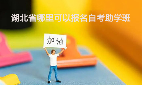 湖北省哪里可以报名自考助学班