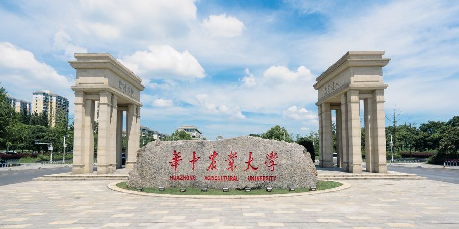 华中农业大学函授本科有用吗