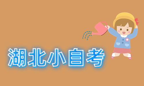湖北第二师范的小自考是正规的吗