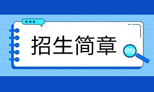 2024年武汉工程大学成人高考招生简章