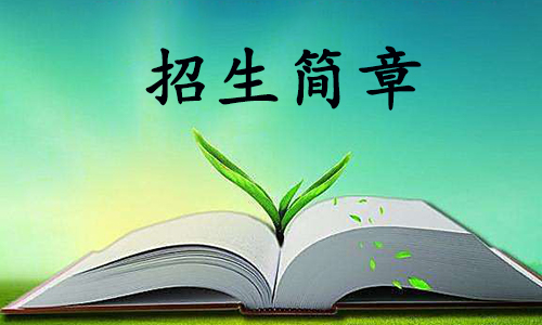 2024年湖北大学自考专升本招生简章