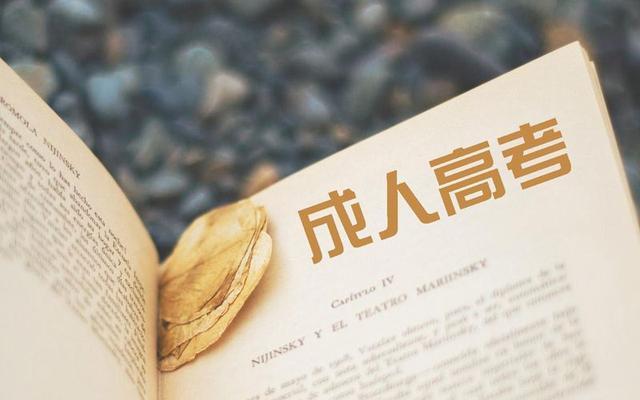 2024年中南财经政法大学成人高考本科怎么报名