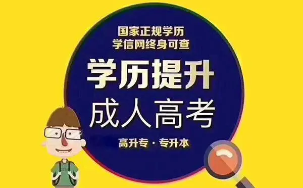 2024年湖北大学成人高考本科考试科目