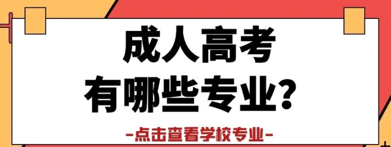2024年湖北大学成人本科招生专业