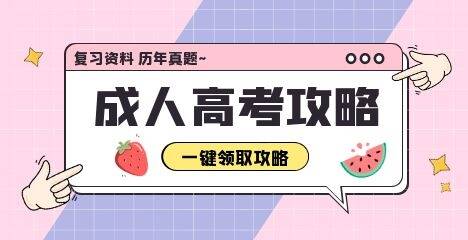 2024年武汉理工大学函授本科招生专业