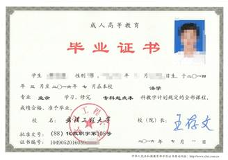 武汉工程大学毕业证.png